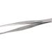Tweezers Tool Portable Erosion Resistant Stainless Steel Tip Tweezers with Serrated Edge Easy to Clean for Watch Repair Bag (Straight Tip) - Buy Online on GoSupps.com