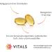Buy Vitals Borage Oil 500mg - Cold Pressed GLA Rich Softgel Capsules | 100% Pure & Chemical-Free - Buy Online on GoSupps.com