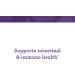 Buy Innate Response Flora 20-14 Ultra Strength 60 Capsules - Probiotic Support - Buy Online on GoSupps.com