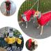 Buy Geyecete Greyhound Light Dog Jacket - Waterproof & Reflective Whippet Coat XL (66-69cm) - Perfect for Greyhounds & Whippets - Buy Online on GoSupps.com