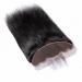Feibin 8 Inch Brazilian Silky Straight Lace Frontal Closure - Natural Black Free Part Pre-Plucked Human Hair Extension - Buy Online on GoSupps.com