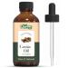 Organic Zing Cassia (Cinnamomum Cassia) Oil | Pure & Natural Essential Oil for Hair Care Massage Aroma & Diffuser - 30ml/1.01fl oz