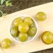 crisp green plum Green plum plums sweet and sour crisp and refreshing plum sour plum candied fruit dried fruit7.05oz/200g - Buy Online on GoSupps.com