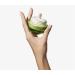 Elixir de Vida Restorative Anti-Aging Complex | Face & Neck Serum for Youthful Skin - International Shipping Available - Buy Online on GoSupps.com
