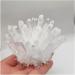Home Decor 1pcs Natural Raw Quartz White Clear Crystal Cluster Stones Crystal Point Specimen Home Decoration Raw Crystals Mi Soothing Crystal Household Crystal Cluster (Size : 600-700g) - Buy Online on GoSupps.com