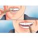 Miswak - 100% Natural & Herbal Chewing Stick Toothbrush Roots Twigs Stem Datun Salvadora Persica Ancient Remedy Dental Care Oral Hygiene Healthy Teeth & Gums Fresh Breath Pack - 3/5 / 10 Pack of 5 - Buy Online on GoSupps.com