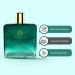 Th.e Man Company Men Ever Green Perfume Gift Set | Luxury Long-Lasting Fragrance | Premium Wood Scent Body Spray | Gift Kit For Husband Boyfriend | Combo Pack For Him 100 Millilitres. - Buy Online on GoSupps.com