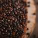 Buy Organic Black Quinoa | 1.8 kg | Premium Quality | Eco-Friendly | Plastic-Free Packaging - sssundclever.de - Buy Online on GoSupps.com