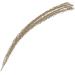 L'Oreal Paris Eyebrow Artist Xpert Pencil 101 Blonde - Define and Shape Your Brows - Buy Online on GoSupps.com