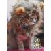 OMG Adorables Lion Mane Costume for Cat - Fun Pet Costume for Halloween and Parties - Buy Online on GoSupps.com