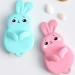 Multi-Functional Bath Cleaning Brush - Soft Bristle Scrubber Sponge for Kids & Adults | Safe Exfoliating Blue Shower Brush for All Skin Types - Buy Online on GoSupps.com