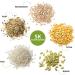 Nutri+ Vegan Protein Powder - 1kg Neutral Blend | No Sucralose No Soy | Rice Pea Hemp Buckwheat & Pumpkin Seeds - Buy Online on GoSupps.com