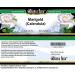 Bianca Rosa Marigold (Calendula) - Cream (2 oz ZIN: 428540) - 3 Pack - Buy Online on GoSupps.com