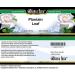Bianca Rosa Plantain Leaf Cream (2 oz ZIN: 524101) - Buy Online on GoSupps.com