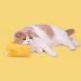 EWRTM Cat Stuffed Toy Great Tear-Puppy Kitty Toy Cheese Modeling Chew Toy Multi - Buy Online on GoSupps.com