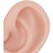 Flexible & Reusable Silicone Ear Model - 1 Pair Medium Skin Color for Ear Piercing Practice - Buy Online on GoSupps.com
