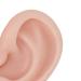 Silicone Ear Model - Medium Skin Color for Earrings Display and Piercing Practice - Buy Online on GoSupps.com
