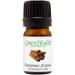 Cinnamon Cassia - 1/6 fl oz (5 ml) Glass Bottle - 100% Pure Essential Oil - GreenHealth - Buy Online on GoSupps.com