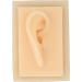 Silicone ear lightweight comfortable and soft safe human ear design Wearable Durable Practical Teaching Demo Right Ear Orelha direita - Buy Online on GoSupps.com