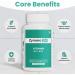 Zynano DK | Vegan Vitamin D3 10000 IU Vitamin K2 120 Mcg with MCT Powder Vegetarian Vitamin D3 K2 for Women and Men Lichen Vitamin D3-60 Gluten Free Capsules - Buy Online on GoSupps.com