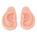 Silicone Ear Model for Earrings & Piercing Exercises - Flexible Human Body Display - Ideal for Jewelry & Acupuncture Demonstrations - Buy Online on GoSupps.com
