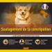 Constipation Relief for Dogs - 60 Laxative Dog Stool Softeners - Chicken Flavor (French) - Buy Online on GoSupps.com