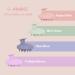 Aimike Silicone Scalp Massage Brush - Stimulate Hair Growth with Rosemary Oil | Wet & Dry Head Massager | Pink Gray-Pink - Buy Online on GoSupps.com