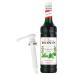 MONIN Premium Coffee Syrup 1 Litre Green Mint and Pump coffee 1 l (Pack of 1)