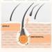  ZHJZGS Upper lip hair removal cream - Painless and gentle quick hair removal for the face and body for all skin types fast and easy (4PCS) - Buy Online on GoSupps.com