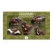 Heilemann Chocolate Figures Theme Pack Gift Pack Fine Milk 100 g (Dinosaurs)