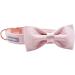 Lionet Paw's Silk Pink Dog Collar with Removable Fly for Puppies & Cats - Comfortable XS (20-30cm) | International Shipping Available - Buy Online on GoSupps.com