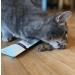 LEO L WENKATZ Matatabi Fruits - Intense Catnip Alternative | Premium Cat Toys for Happy Felines - Buy Online on GoSupps.com