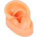 Flexible Silicone Left Ear Model for Realistic Earwax Removal Simulation - Buy Online on GoSupps.com