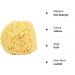 2X Large Soft Honeycomb Bath Sponges - Buy Online on GoSupps.com