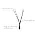 Y Eyelash Extensions D Curl .07mm 2D Fan - Soft YY Type 12mm Volume Lashes - Emeda 1 Pack - Buy Online on GoSupps.com