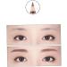 Beavorty Eyebrow Brush 6 pcs brow pencil black pencils Eyeshadow Pencil eyebrow pencil cosmetic double head Miss - Buy Online on GoSupps.com
