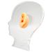 Jeanoko Ear Mold Soft Ear Model with Acrylic Stand for Hospital