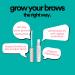 nuorganic 'Cosmic Brow' Eyebrow Serum for Growth | Natural Eye Brow Serum for Thicker Longer More Defined Brows | 4 Months Supply XL Size | Cruelty Free Made in USA - Buy Online on GoSupps.com