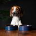 Scruffs Ceramic Heavy Duty Reactive Glaze Pet Bowls - 2pc Set - Midnight Blue - 15cm - Buy Online on GoSupps.com
