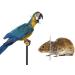 Hemobllo Bird Protection Cushion | Safety Neck Cover for Wound Healing & Recovery | Practical Collar for Birds & Rodents - Buy Online on GoSupps.com
