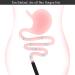 150cm ANADLUSCHE Anal Plug - Intestinal Cleaning Shower with Valve | Perfect for Anal Intercourse - Klistier Anal Toys for Men & Women - Buy Online on GoSupps.com