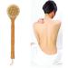 Deep Cleaning Long Handle Shower Brush for Exfoliating Skin - Body Scrubber for Wet or Dry Brushing - Bath Shower Body Care - Buy Online on GoSupps.com