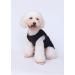 3-Pack Printed Dog Clothing - Princess & Prince T-Shirts for Small to Medium Dogs | Cute Pet Costumes (Blue XL) - Buy Online on GoSupps.com