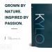 KYLO Instant Herbal Detox Tea - Weight Management Support (30 Sticks) | Sugar-Free, GMO-Free, Gluten-Free | Gentle Colon Cleanse with All-Natural Herbs (30 Count) - Buy Online on GoSupps.com