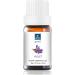 Buy Premium Violet Essential Oil - Aromatherapy & Diffuser Blend - 10ml | Exquisite Home Fragrance - Buy Online on GoSupps.com