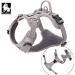 Truelove No Pull Dog Harness | Reflective Adjustable & Soft Padded Vest for Dogs - TLH56512 S Gray - Buy Online on GoSupps.com