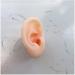 Ear Model - Soft Silicon Silicone Simulation Model of Acupuncture Ear Ear Picking Practice The Studs Earring Display Props - Buy Online on GoSupps.com