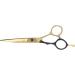 Qukaim Salon Scissors Hair Scissors Stainless Steel 5.5 Inch Hairdressing Scissors for Salon Portable Black Gold Flat Scissors - Buy Online on GoSupps.com