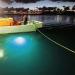 Goture 12V 10.8W White Blue Green LED Submersible Fishing Light | Fish Finder Lamp for Night Fishing | Freshwater Saltwater | 12m Cord - Buy Online on GoSupps.com