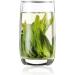 Taiping Houkui Bon Th vert Bio Chine Th Vert 50g - Buy Online on GoSupps.com
